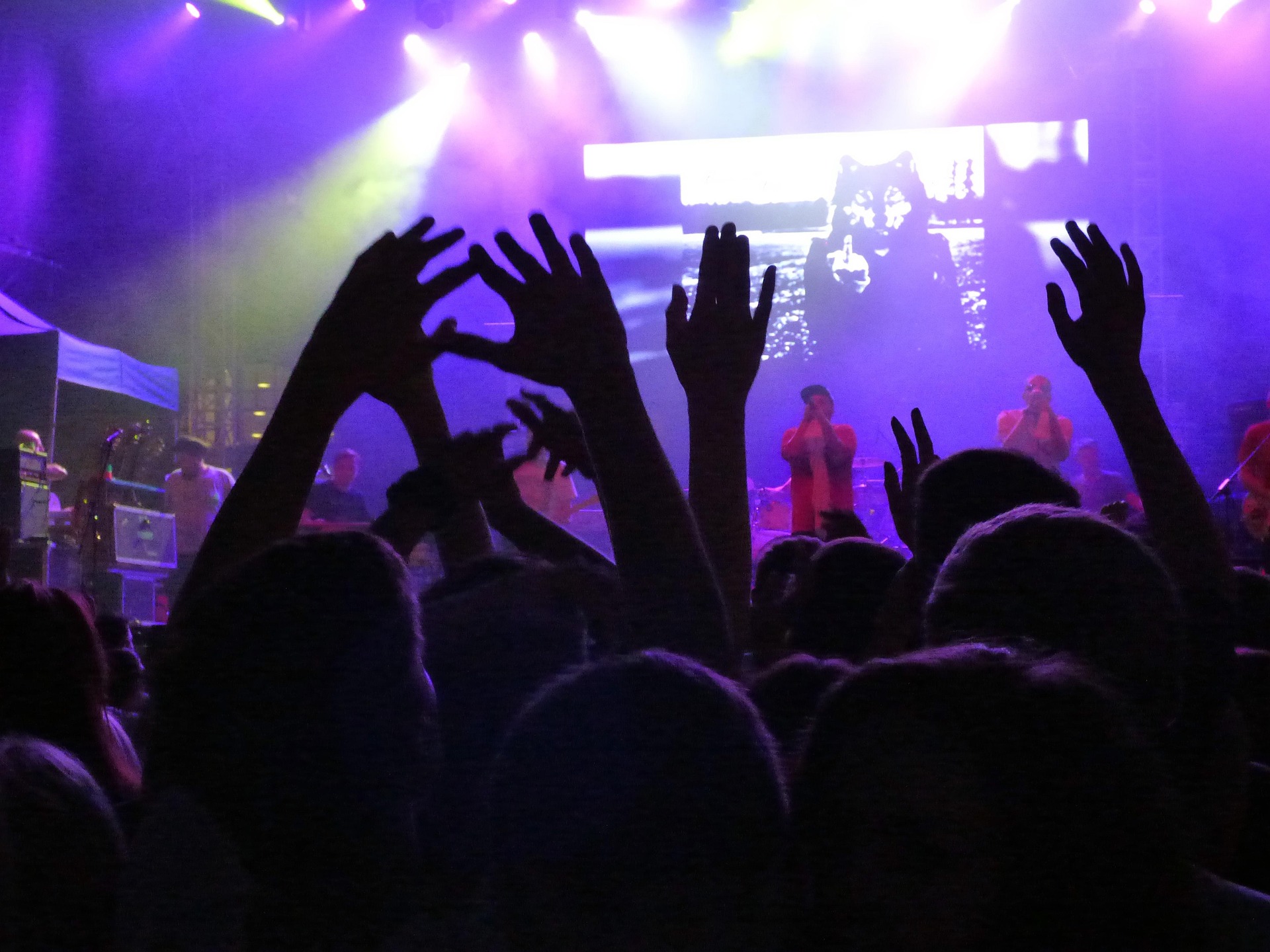 tomasz_mikolajczyk-concert-441341_1920